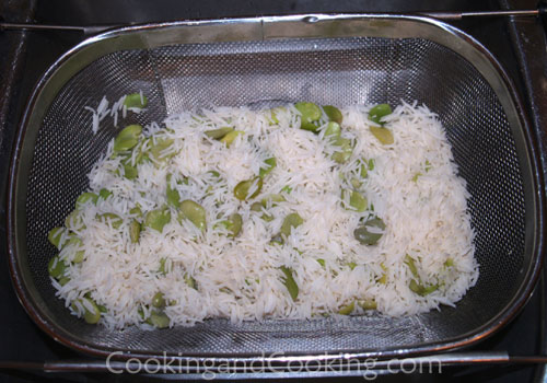 Baghali Polo (Persian Rice with Dill and Fava Beans) Baghali Polo (Persian Rice with Dill and Fava Beans)