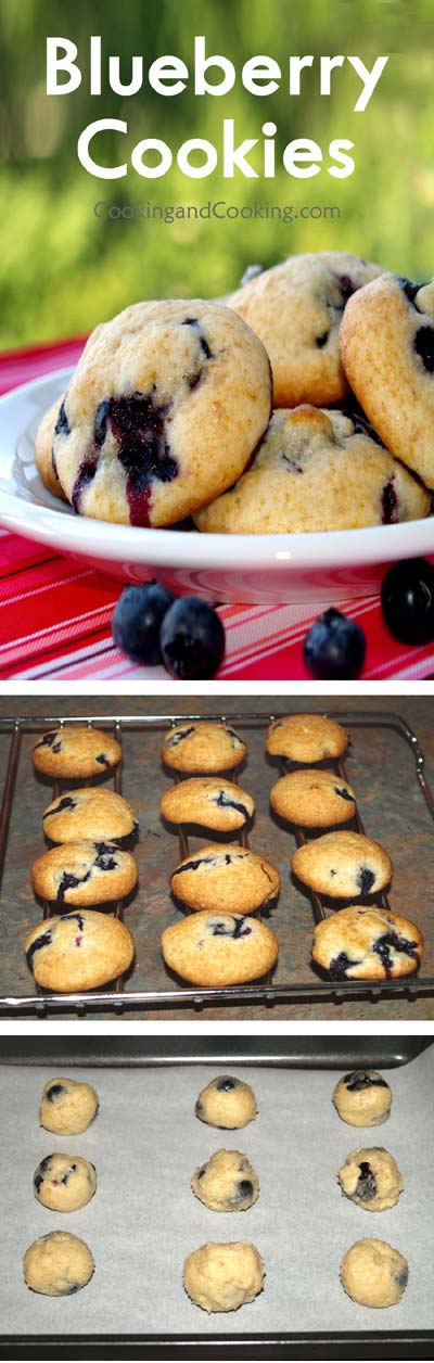 Blueberry Cookies Blueberry Cookies
