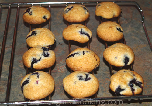 Blueberry Cookies Blueberry Cookies