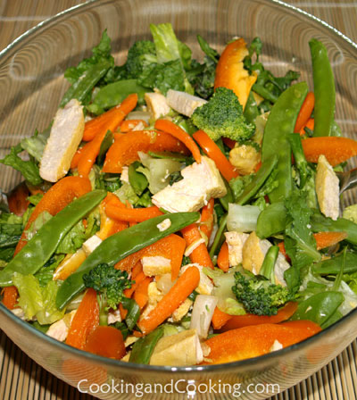 Chicken and Vegetable Salad Chicken and Vegetable Salad
