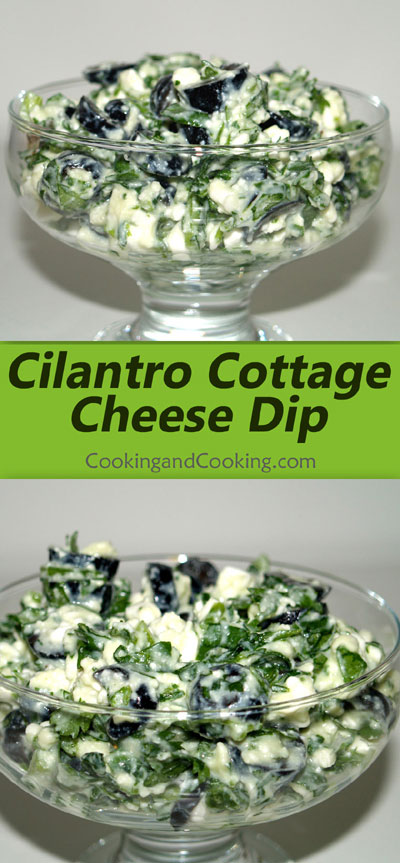 cilantro-cottage-cheese-dip