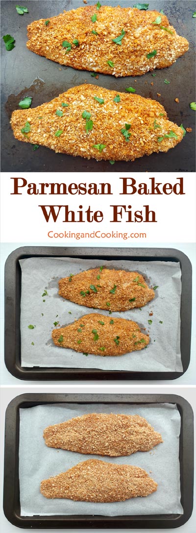 Parmesan Baked White Fish Parmesan Baked White Fish