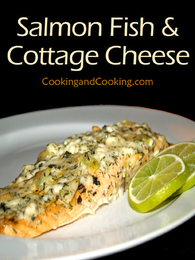 Salmon Fish with Cottage Cheese Salmon Fish with Cottage Cheese