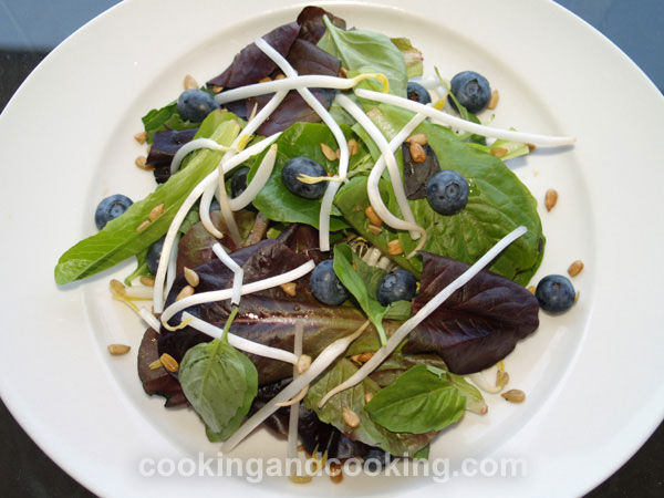 Summer Mixed Salad Summer Mixed Salad