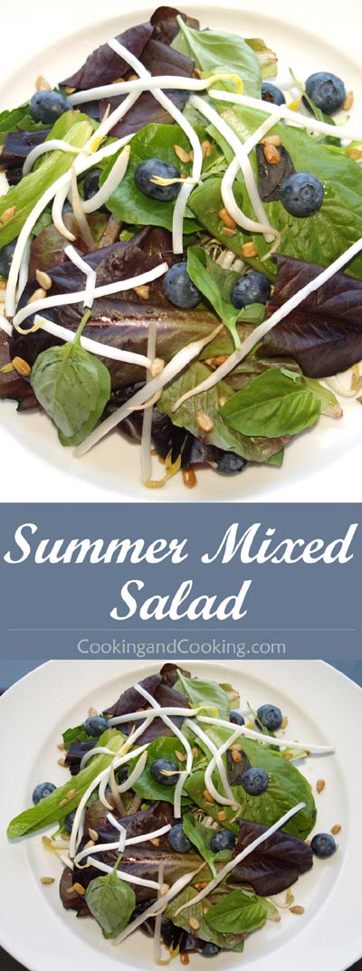 summer-mixed-salad summer-mixed-salad