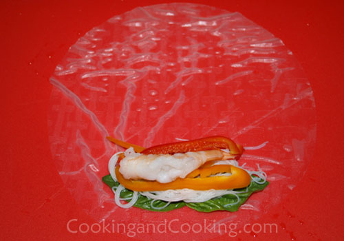 Vietnamese Spring Rolls Vietnamese Spring Rolls